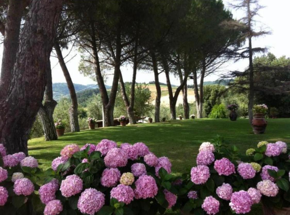 Agriturismo Le Querciole Casciana Terme Exterior foto